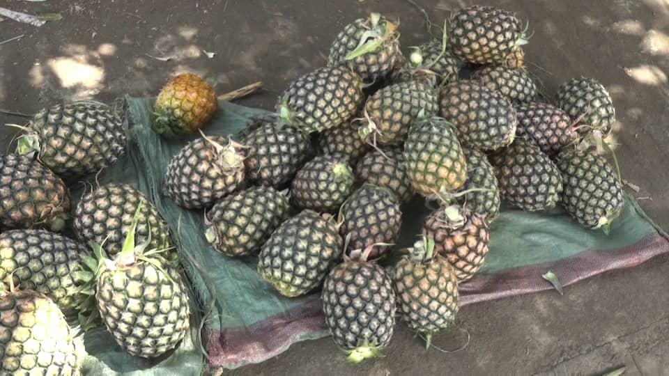 image Des fruits à profusion à Mohéli, mais les prix montent en flèche